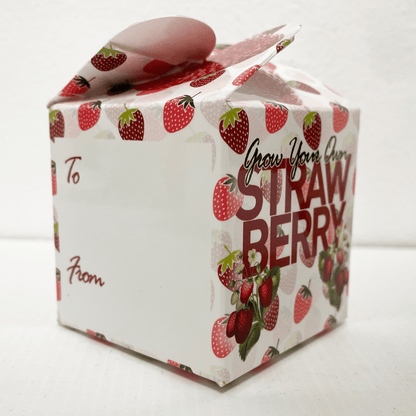 Grow Your Own Strawberry Mini Box Kits Teacher Thank You Kids Birthdays Parties Corporate Events Wedding Favours Christenings Strawberries Holidays Gift Box Funerals