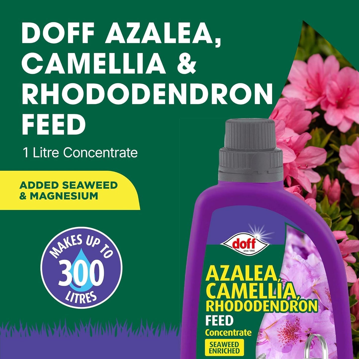 Doff Azalea Camellia & Rhododendron Feed Concentrate 1L