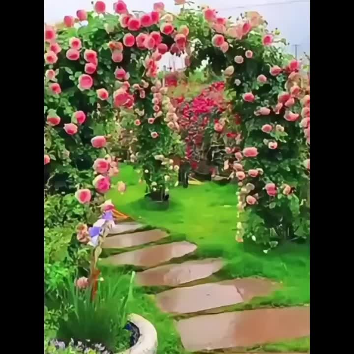 Garden Arch with Green Climbing Plants, Roses Clematis Outdoor - product gallery image 6