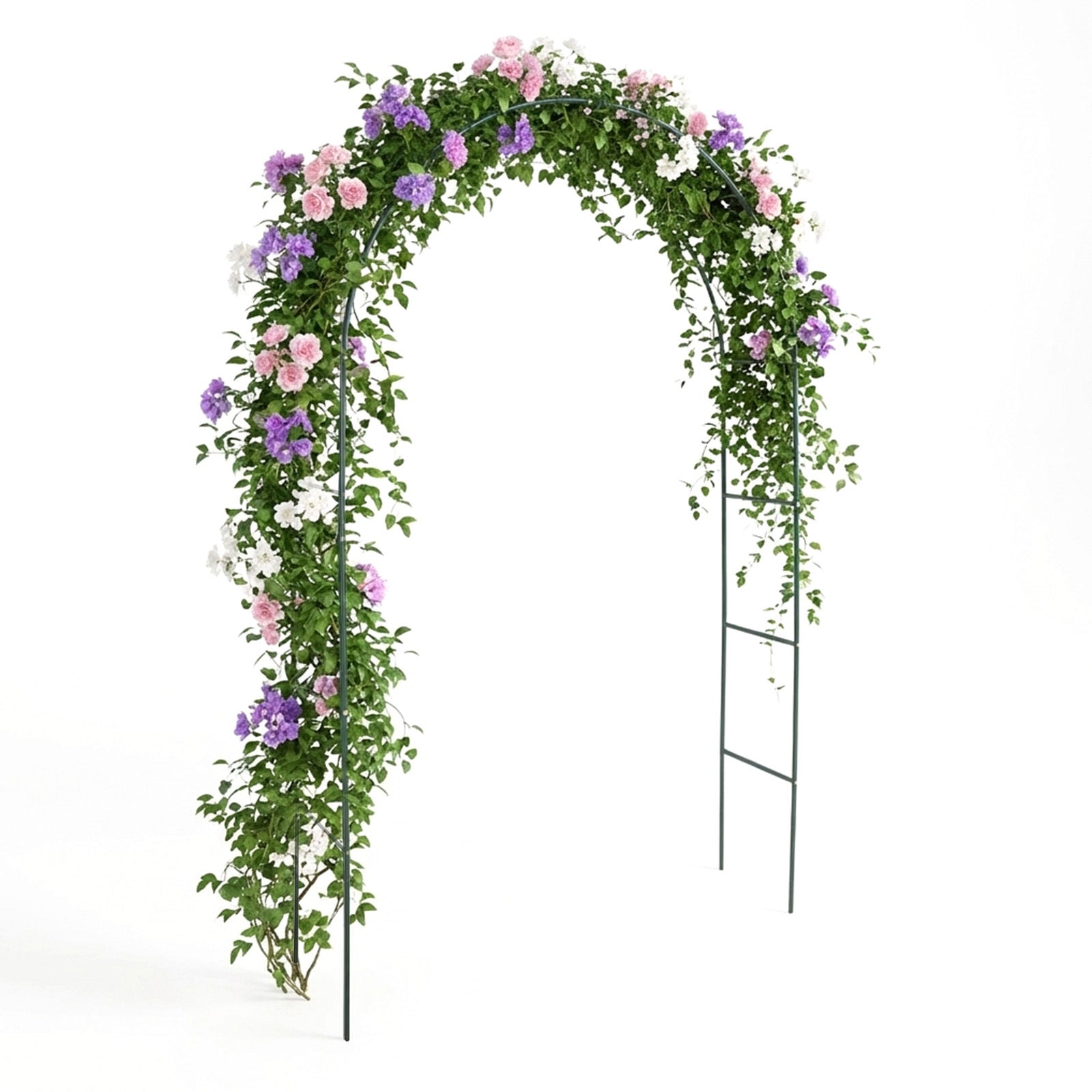 Garden Arch with Green Climbing Plants, Roses Clematis Outdoor - product gallery image 8