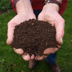 Garden Compost & Soil with 40L, Ericaceous Acid-Loving Plants Azalea - product gallery image 5