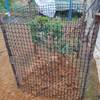 Garden Fencing & Netting with 1m, 10m, Plastic, 1M*10M - product gallery image 4
