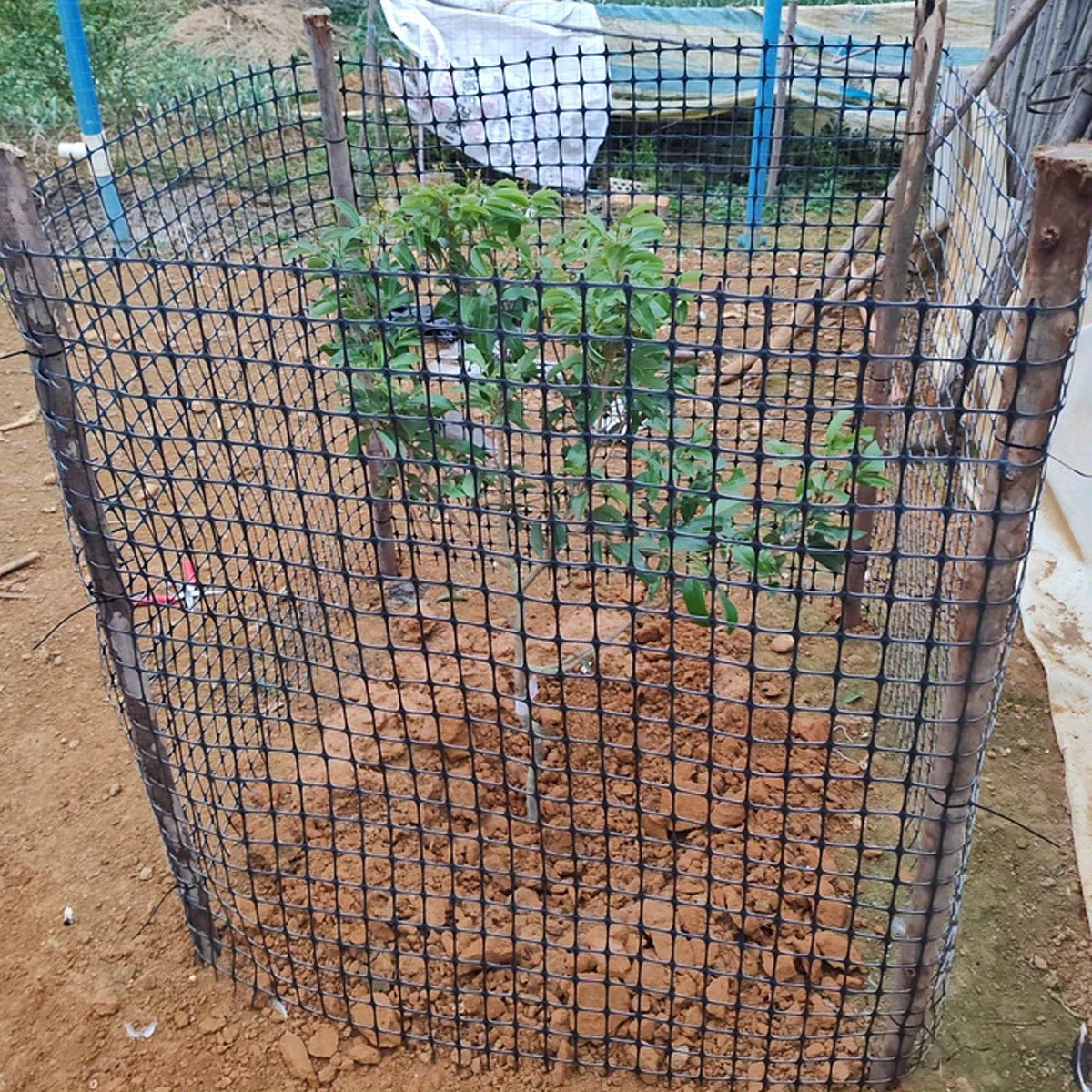 Garden Fencing & Netting with 1m, 10m, Plastic, 1M*10M - product gallery image 4