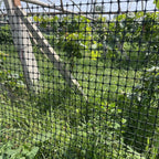 Garden Fencing & Netting with 1m, 10m, Plastic, 1M*10M - product gallery image 7