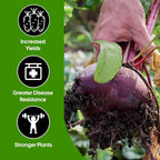 Garden Fertiliser with 500g, 5m, Seaweed Pellets Fast-Acting Natural Plant Feed - product gallery image 10