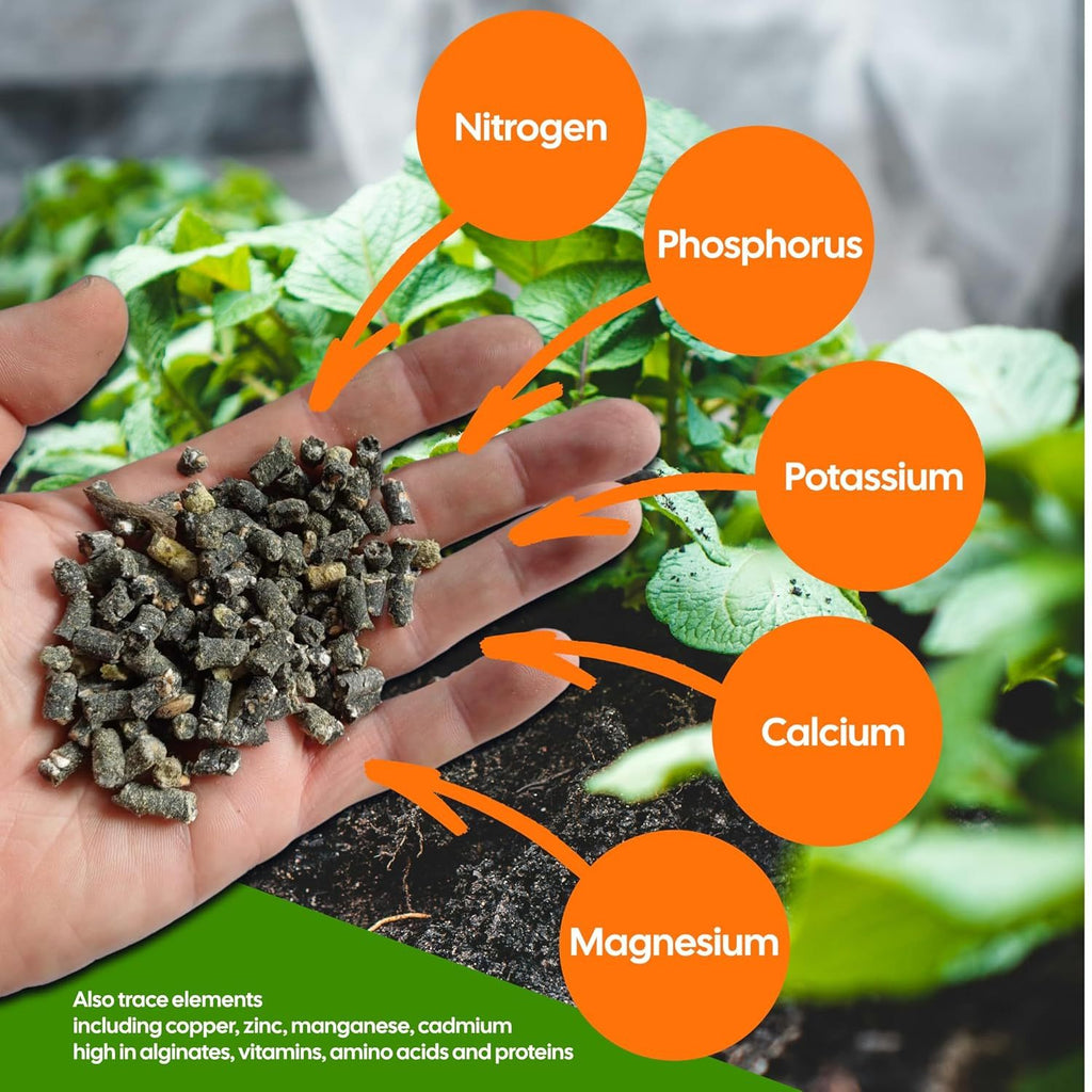 Garden Fertiliser with 500g, 5m, Seaweed Pellets Fast-Acting Natural Plant Feed - product gallery image 3