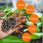 Garden Fertiliser with 500g, 5m, Seaweed Pellets Fast-Acting Natural Plant Feed - product gallery image 3