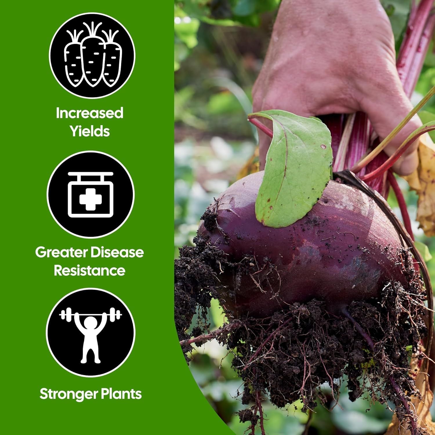 Garden Fertiliser with 500g, 5m, Seaweed Pellets Fast-Acting Natural Plant Feed - product gallery image 5