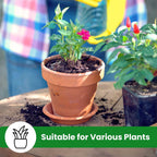 Garden Planter with 10cm, 6 Pack, Clay Pots Plants Saucer Terracotta Plant - product gallery image 12