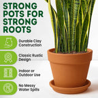 Garden Planter with 10cm, 6 Pack, Clay Pots Plants Saucer Terracotta Plant - product gallery image 3