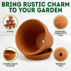 Garden Planter with 10cm, 6 Pack, Clay Pots Plants Saucer Terracotta Plant - product gallery image 6