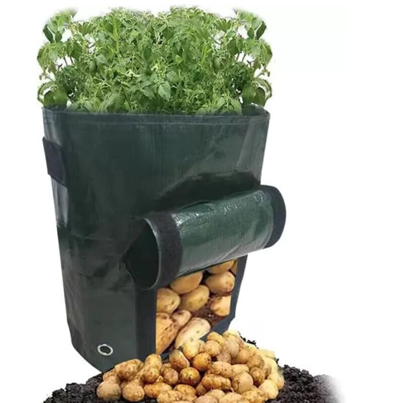 Garden Planter with Foldable, 4 Pack, Potato Grow Bags 37.85L Drainage Holes - product gallery image 3