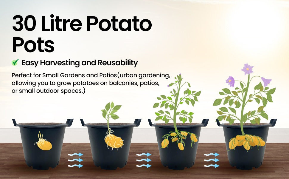 Garden Planter with Plastic, 5, Heavy Duty Plant Pots Handles - product gallery image 13