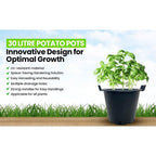 Garden Planter with Plastic, 5, Heavy Duty Plant Pots Handles - product gallery image 2