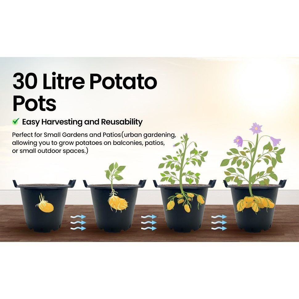 Garden Planter with Plastic, 5, Heavy Duty Plant Pots Handles - product gallery image 6
