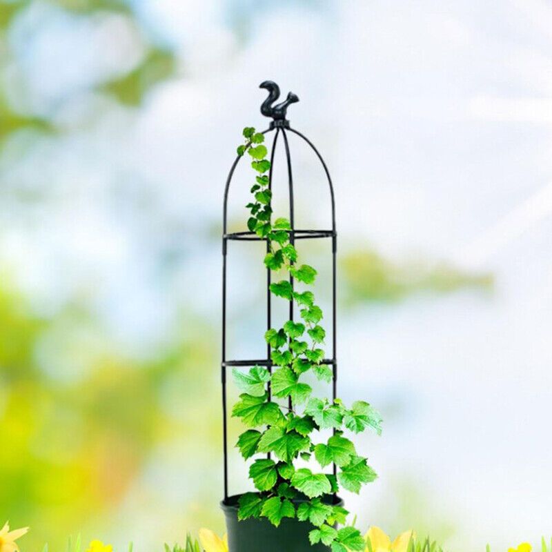 Garden Trellise with 95cm, 145cm, Obelisk Trellis Climbing Plants Fiberglass - product gallery image 3