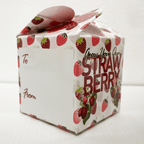 Grow Your Own Gift Kit with 1 Gift Pot, Strawberry Mini Terracotta Pot, Peat-Free Coir - product gallery image 4