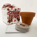 Grow Your Own Gift Kit with 1 Gift Pot, Strawberry Mini Terracotta Pot, Peat-Free Coir