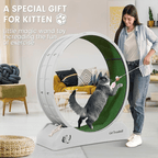 Indoor Assembly Cat Roller Treadmill with Wheels, Plastic, 1pc - product gallery image 2