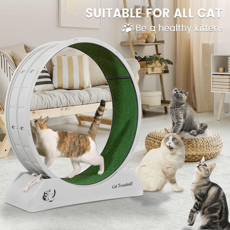 Indoor Assembly Cat Roller Treadmill with Wheels, Plastic, 1pc - product gallery image 5