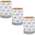 Kitchen Canisters & Storage Jar with Airtight, Ceramic