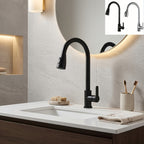 Kitchen Faucet with Pull Down Sprayer with Stainless Steel, 1pc