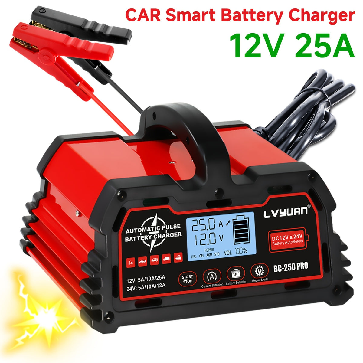 LVYUAN 12V25A 24V12A 12V20A Battery with Charger (Not Car Starter), LiFePO4 Lead-Acid