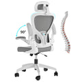 Office Chair with Lumbar Support, Wheels, Ergonomic Breathable Mesh Back, Adjustable