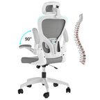 Office Chair with Lumbar Support, Wheels, Ergonomic Breathable Mesh Back, Adjustable