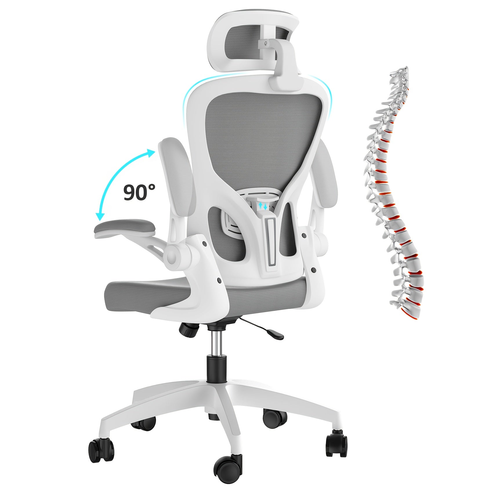 Office Chair with Lumbar Support, Wheels, Ergonomic Breathable Mesh Back, Adjustable