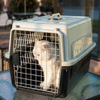 Pet Carrier with 48cm, Metal, 48*32*30cm, Plastic Ventilated Crate Metal Door - product gallery image 11