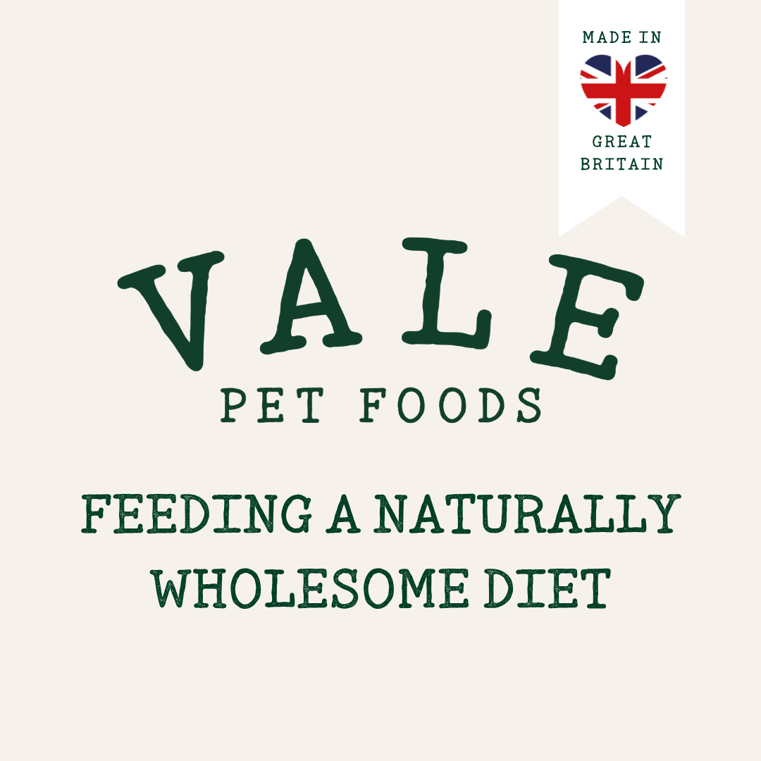 Pet Food Supplement with 500ml, Scottish Salmon Oil Topper Dogs Cats - product gallery image 16