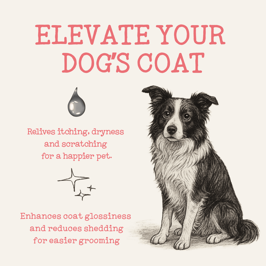 Pet Food Supplement with 500ml, Scottish Salmon Oil Topper Dogs Cats - product gallery image 3
