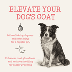 Pet Food Supplement with 500ml, Scottish Salmon Oil Topper Dogs Cats - product gallery image 3