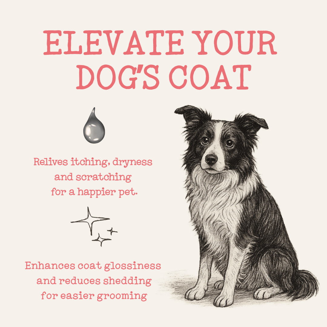 Pet Food Supplement with 500ml, Scottish Salmon Oil Topper Dogs Cats - product gallery image 3