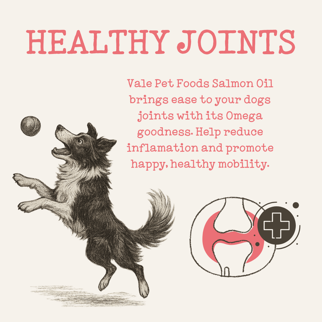 Pet Food Supplement with 500ml, Scottish Salmon Oil Topper Dogs Cats - product gallery image 4