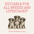 Pet Food Supplement with 500ml, Scottish Salmon Oil Topper Dogs Cats - product gallery image 6