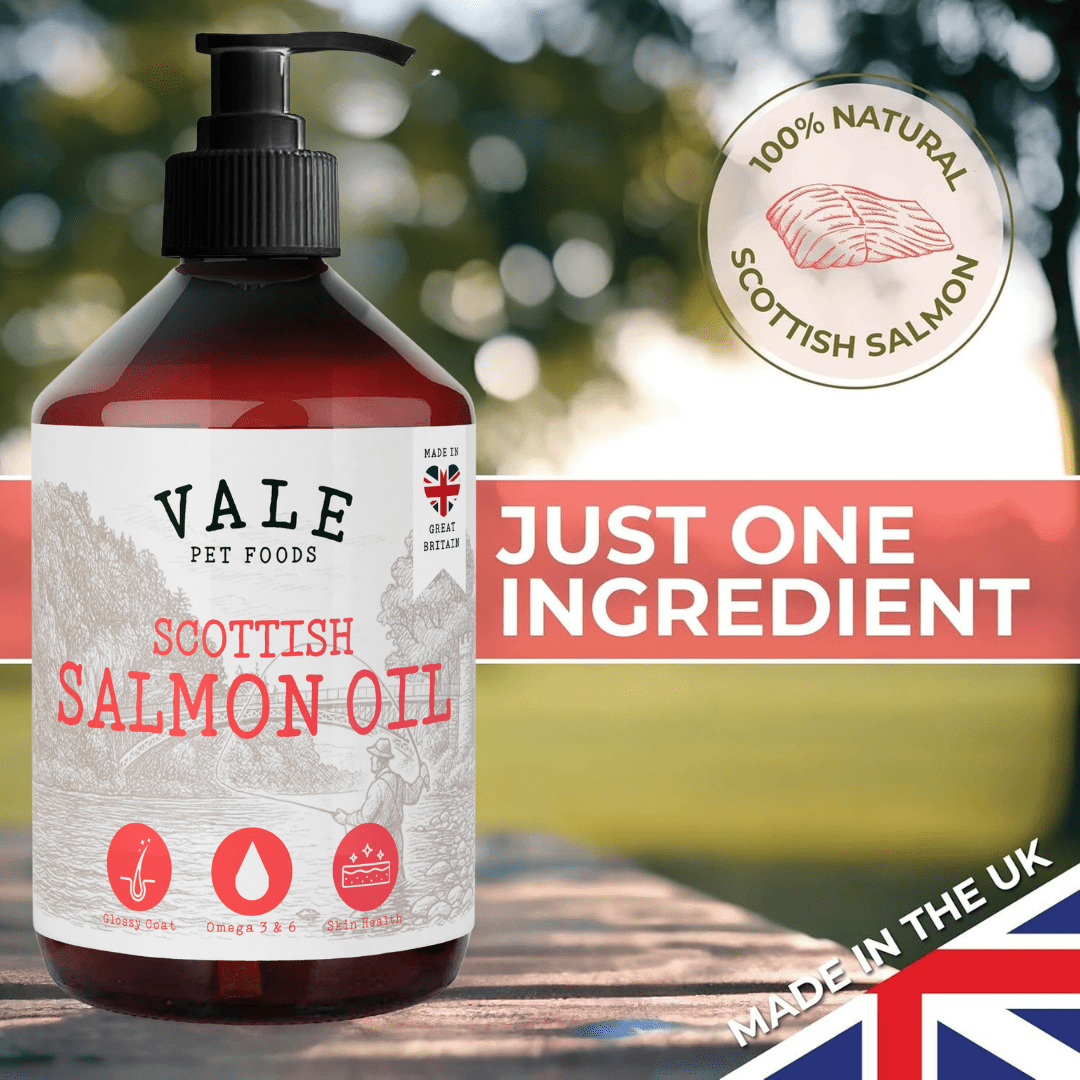 Pet Food Supplement with 500ml, Scottish Salmon Oil Topper Dogs Cats - product gallery image 7