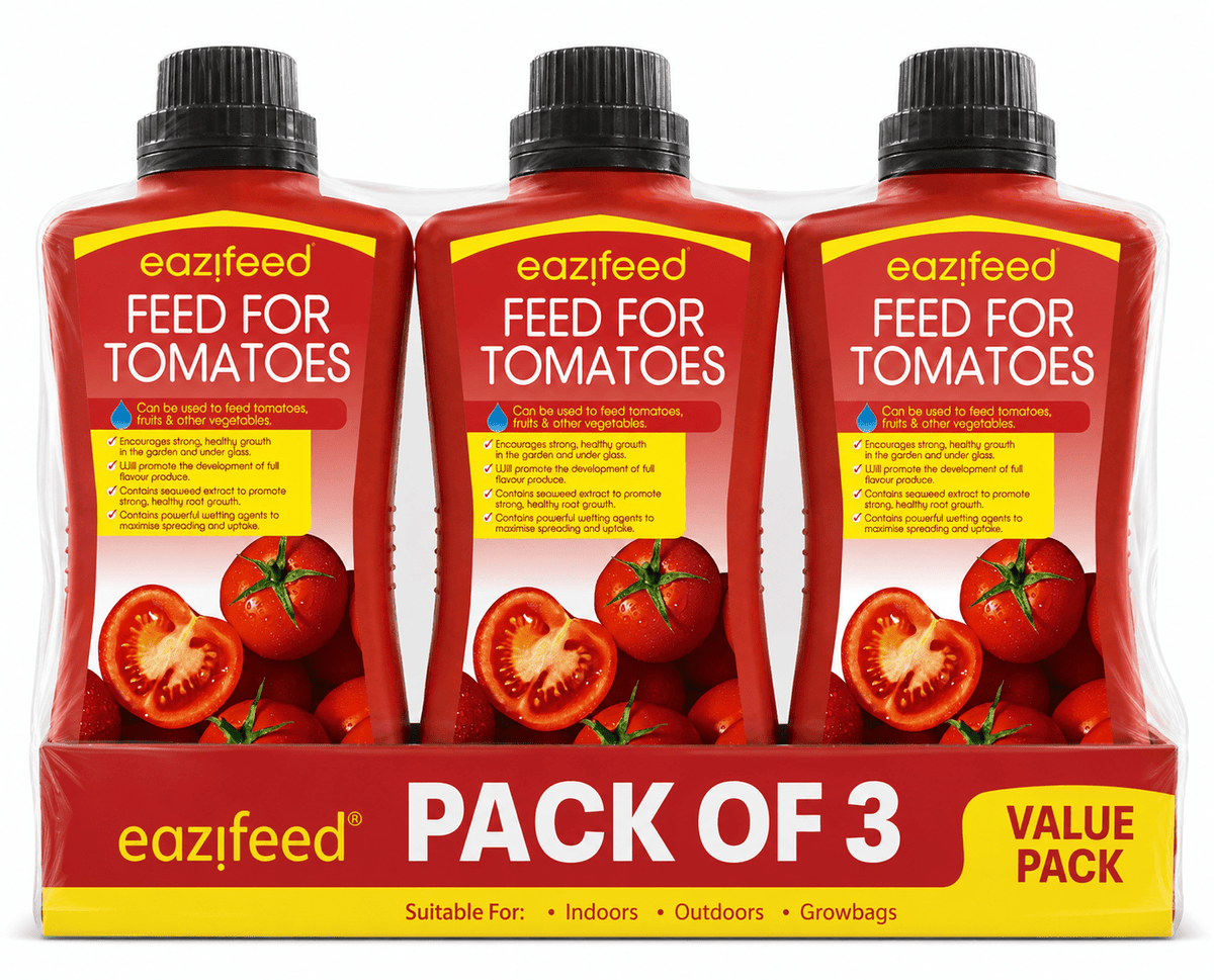 Plant Feed with 500ml, 3 Pack, Liquid Tomato Eazifeed Multipurpose Fertiliser - product gallery image 4