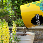 Potting Compost with 2, Miracle-Gro Peat-Free All-Purpose Two Bags - product gallery image 17