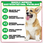 Probiotic Soft Chews for Dog with Pack of 2, 240 Chews - product gallery image 12
