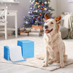 Puppy Training Pad with Leakproof, 200 Pack, Quick-Dry Pads 100/150/200 Large Super