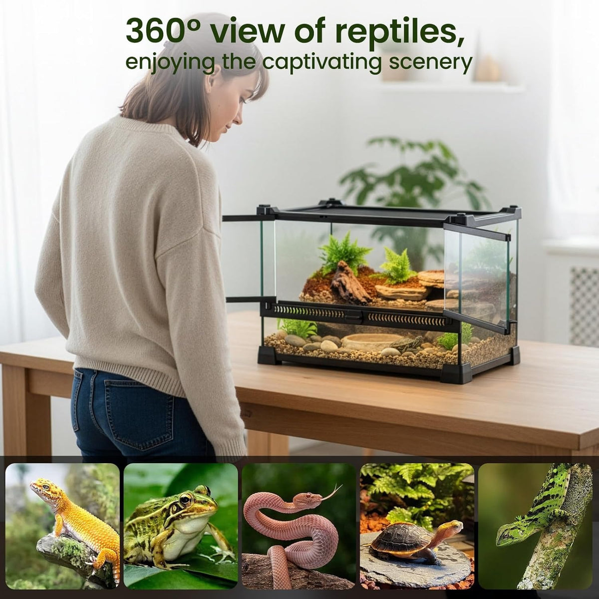 Reptile Terrarium with Leakproof, Glass Vivarium Tank Ventilated Habitat
