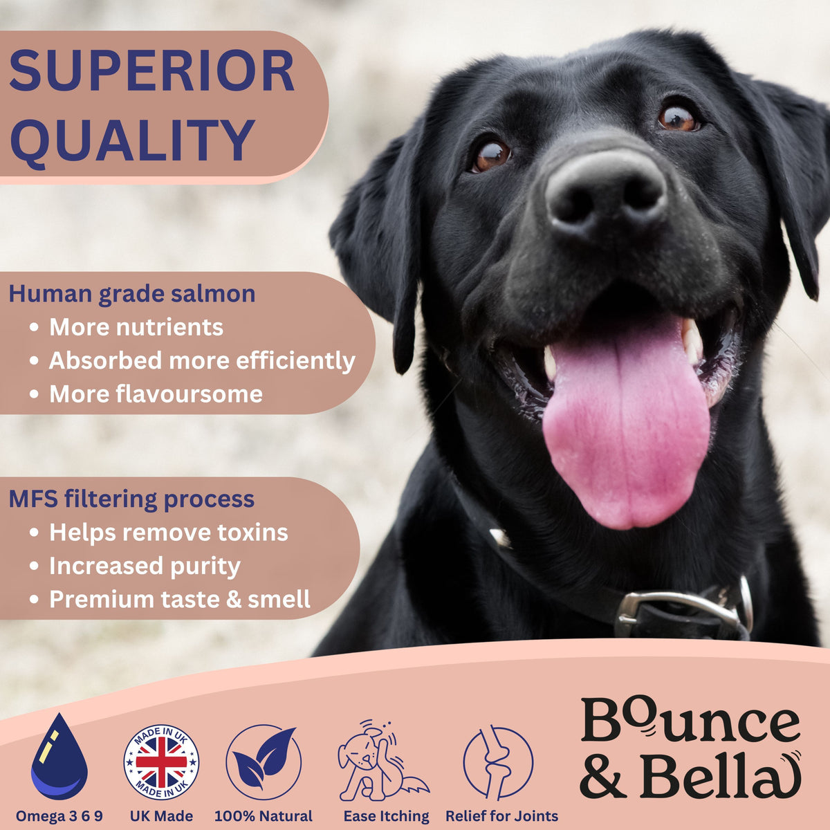 Scottish Salmon Oil for Dogs & Cats UK with 500ml, 1 pack (500ml) - product gallery image 3