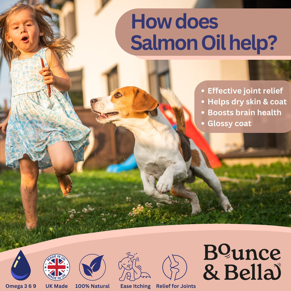 Scottish Salmon Oil for Dogs & Cats UK with 500ml, 1 pack (500ml) - product gallery image 4