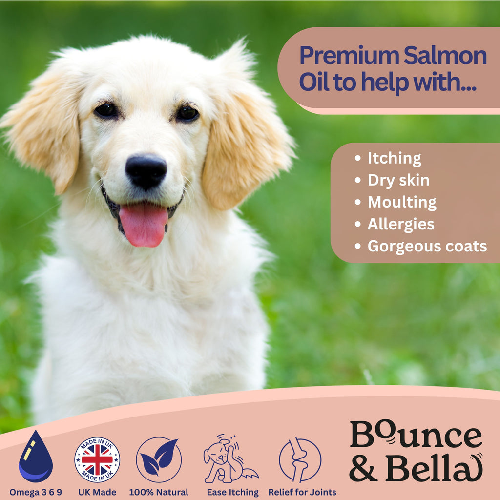 Scottish Salmon Oil for Dogs & Cats UK with 500ml, 1 pack (500ml) - product gallery image 5