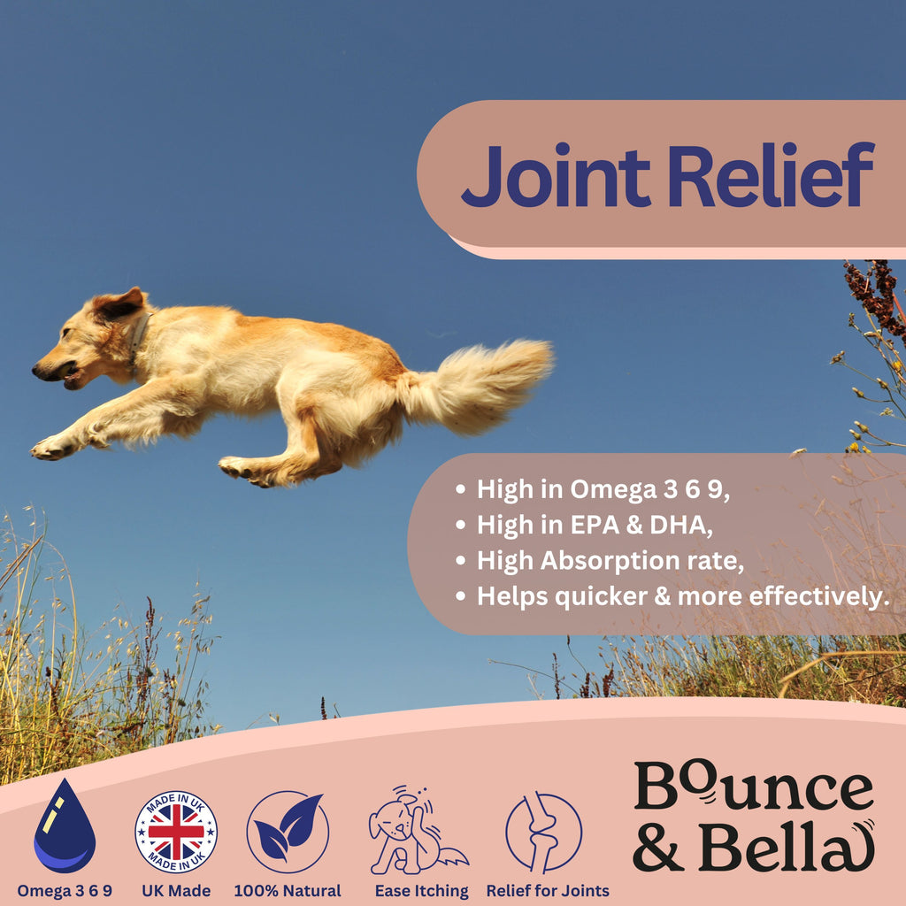 Scottish Salmon Oil for Dogs & Cats UK with 500ml, 1 pack (500ml) - product gallery image 6