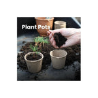 Seed Pots & Seedling Tray with 6cm, 8cm, Plastic, 96 Pack - product gallery image 6