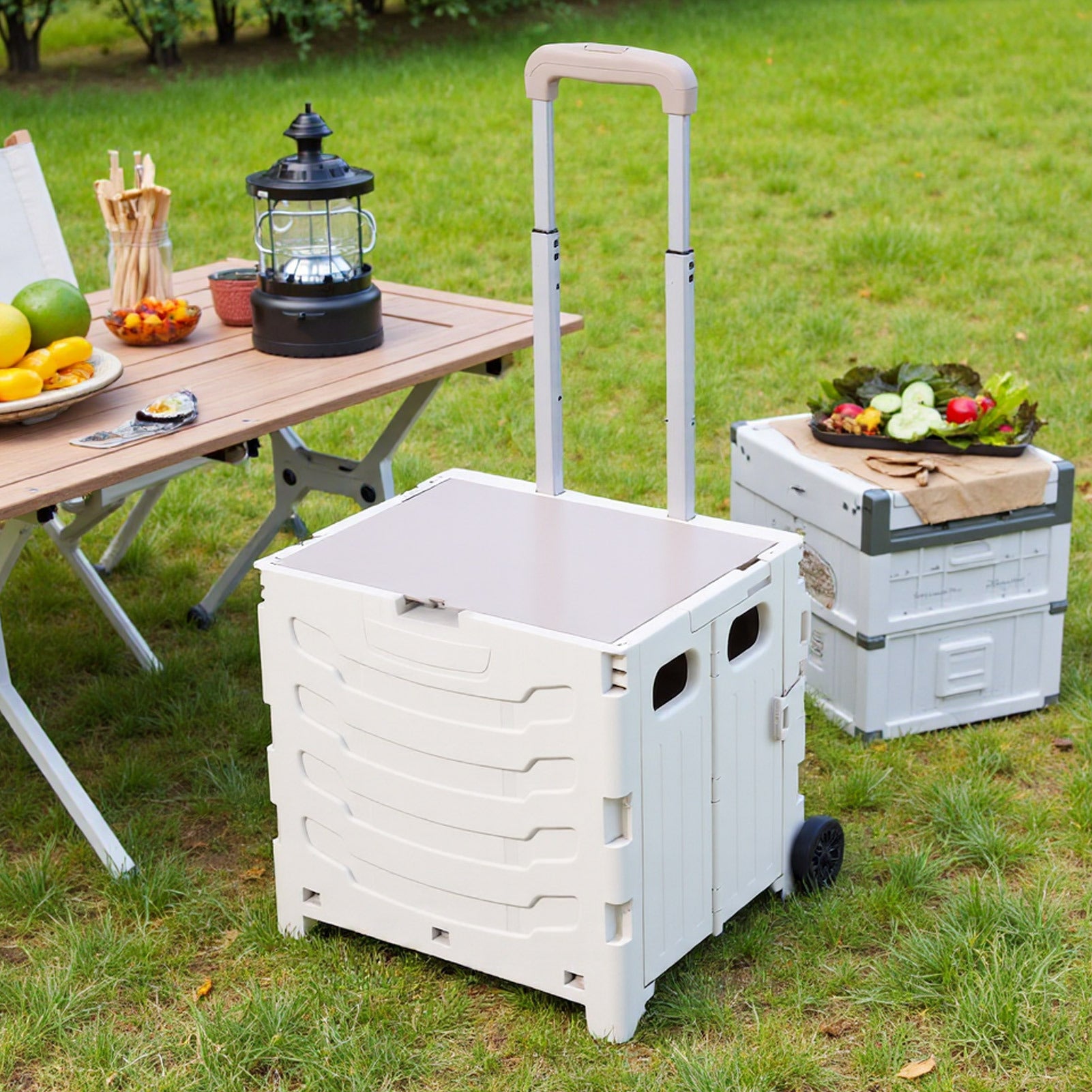 Shopping Trolley with Foldable, Wheels, Plastic for travel - product gallery image 4