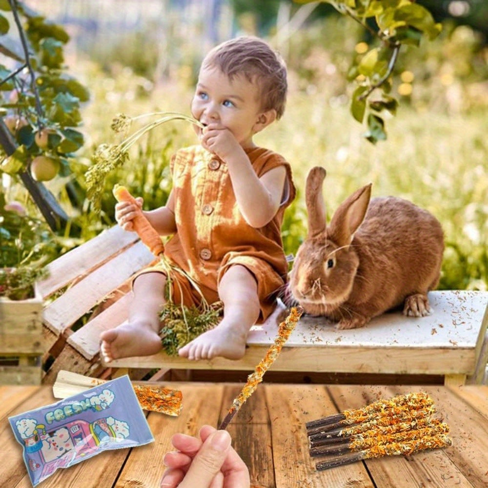 Small Animal Chew Toy with Wood, Natural Apple Wood Sticks Rabbits Hamsters - product gallery image 7